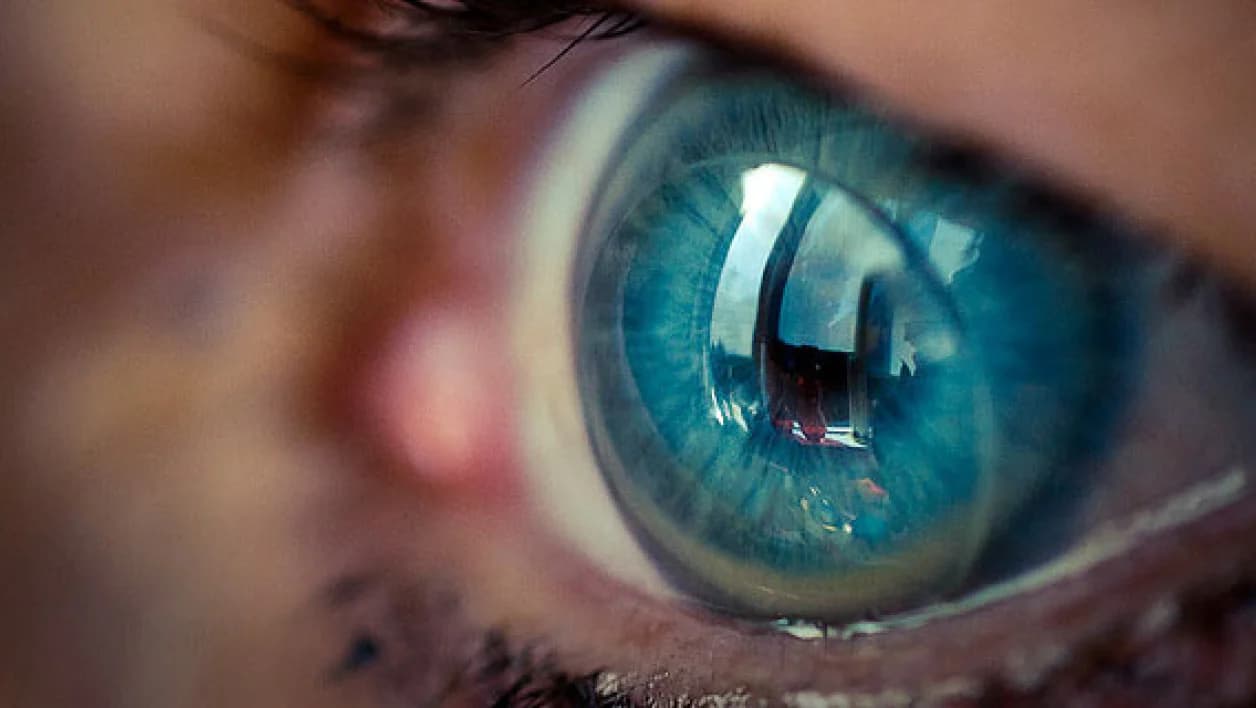 lentilles rigides.webp